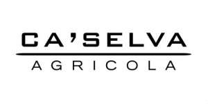 Logo Caselva