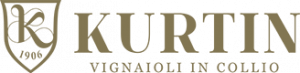 Logo Kurtin