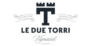 logo due torri